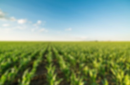 Macquarie Asset Management announces investment in Atlas Agro